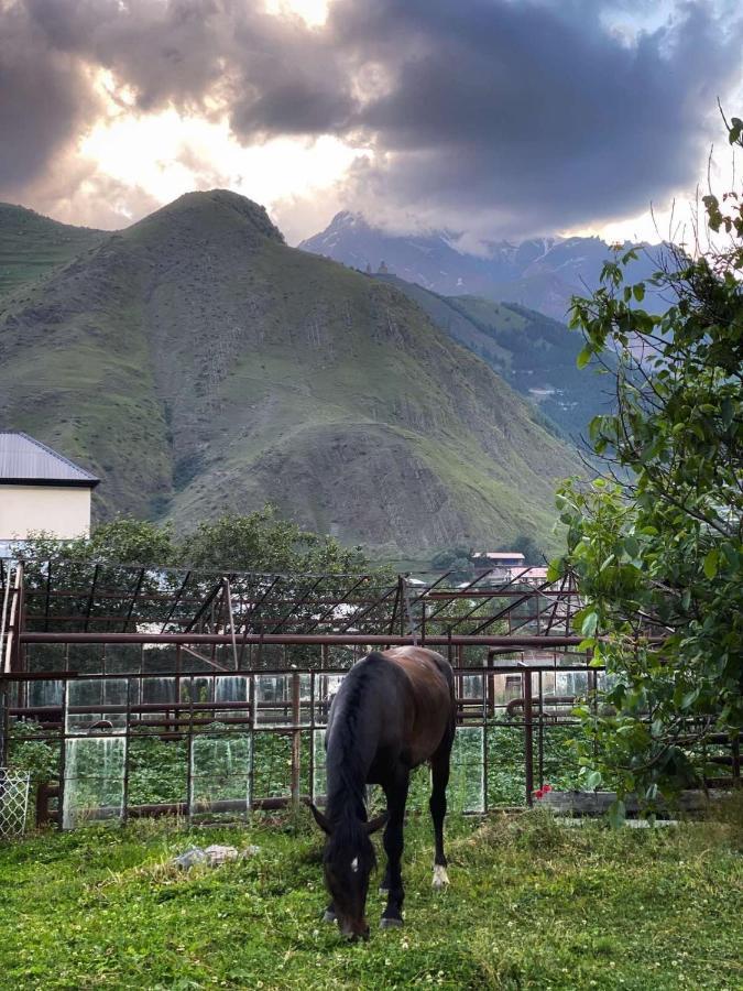 Dato Khetaguri Apartment Kazbegi Exterior foto