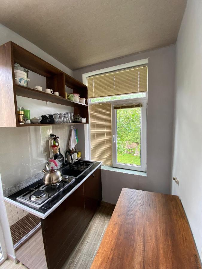 Dato Khetaguri Apartment Kazbegi Exterior foto